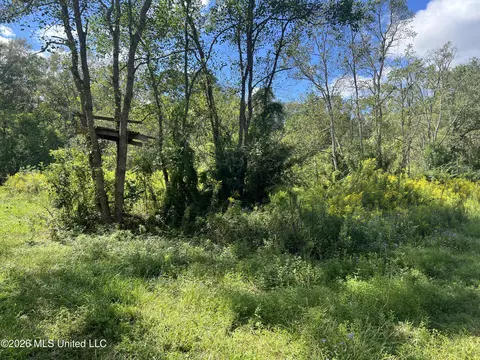 37 Horace E Mitchell Rd, Picayune, MS 39466 photo 3