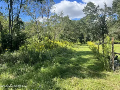 37 Horace E Mitchell Rd, Picayune, MS 39466 photo 5