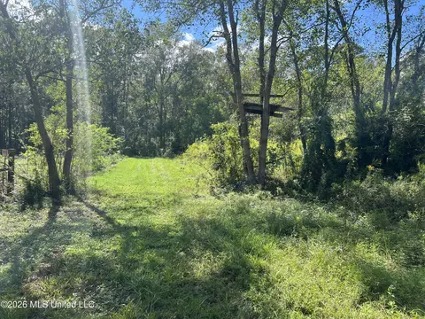 37 Horace E Mitchell Rd, Picayune, MS 39466 photo 2