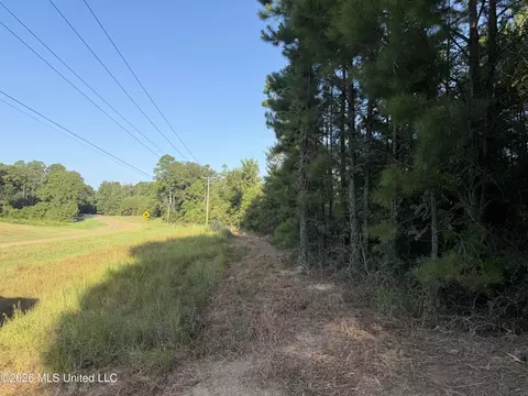 Ms-570, Summit, MS 39666 photo 2