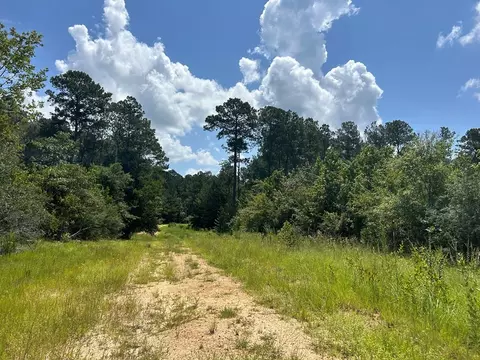 Ms-570, Summit, MS 39666 photo 12