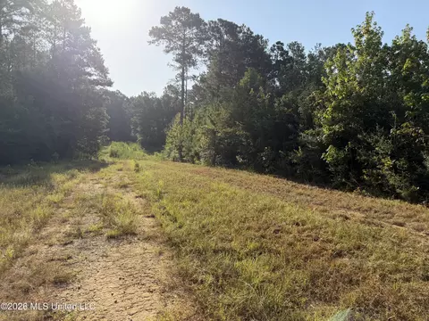 Ms-570, Summit, MS 39666 photo 7