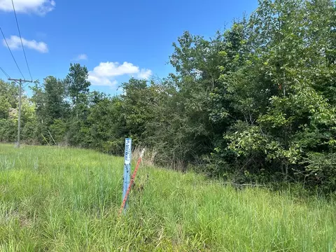 Ms-570, Summit, MS 39666 photo 16