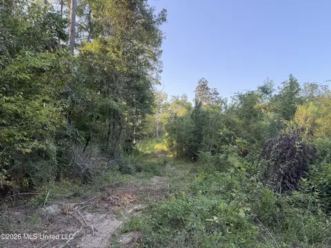 Ms-570, Summit, MS 39666 photo 17