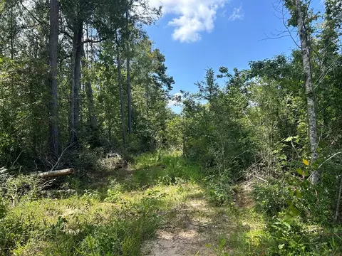 Ms-570, Summit, MS 39666 photo 11