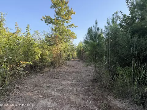Ms-570, Summit, MS 39666 photo 10