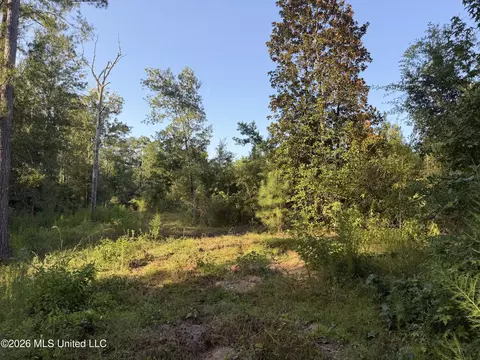 Ms-570, Summit, MS 39666 photo 4