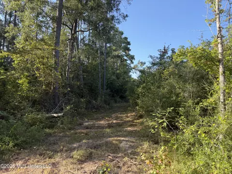 Ms-570, Summit, MS 39666 photo 5