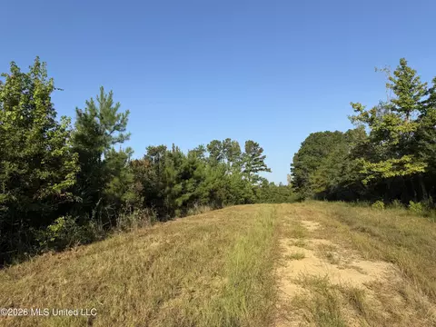 Ms-570, Summit, MS 39666 photo 9