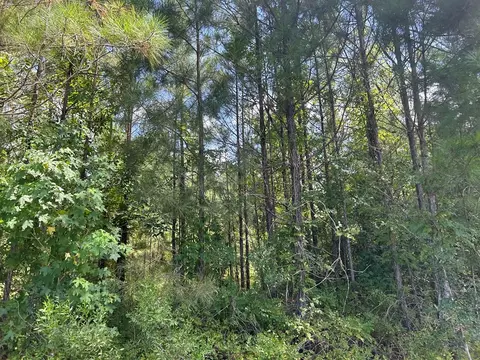 Ms-570, Summit, MS 39666 photo 15