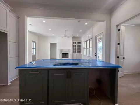 Kitchen - 352 Aurora Cir, Canton, MS 39046 photo 3 of 3