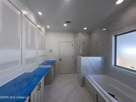 Bath - 352 Aurora Cir, Canton, MS 39046 photo 2 of 5