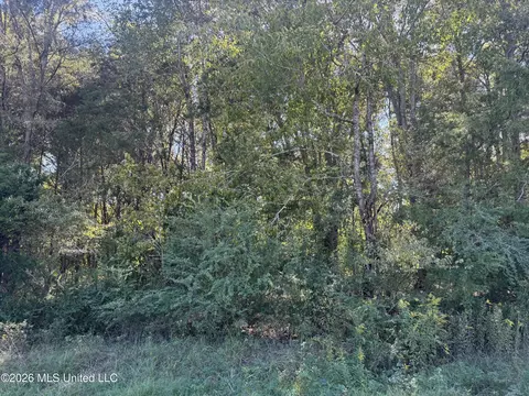 Memorial Dr Avenue, Flora, MS 39071 photo 2