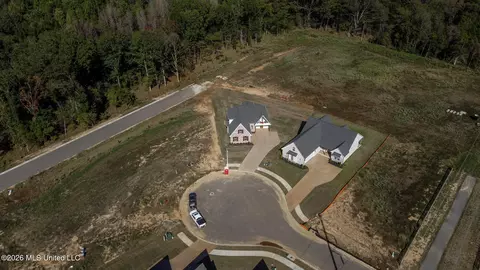 View/Area - 2960 Molly Cv, Nesbit, MS 38651 photo 4 of 5