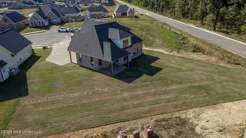 View/Area - 2960 Molly Cv, Nesbit, MS 38651 photo 1 of 5