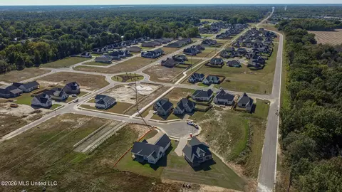 View/Area - 2960 Molly Cv, Nesbit, MS 38651 photo 5 of 5
