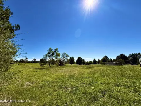 206 Barker Rd, Morton, MS 39117 photo 6