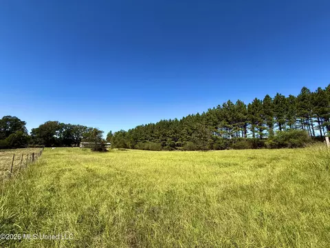 206 Barker Rd, Morton, MS 39117 photo 3
