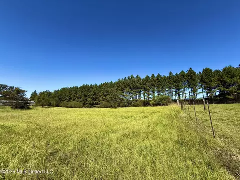 206 Barker Rd, Morton, MS 39117 photo 2