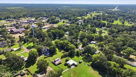 View/Area - 165 Second St, Flora, MS 39071 photo 3 of 3