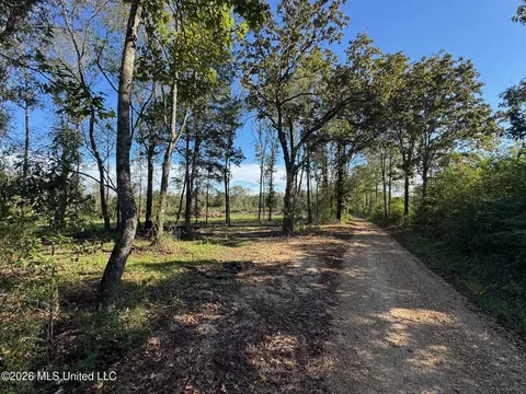 Nnn Emma Kelly Road, Magnolia, MS 39652