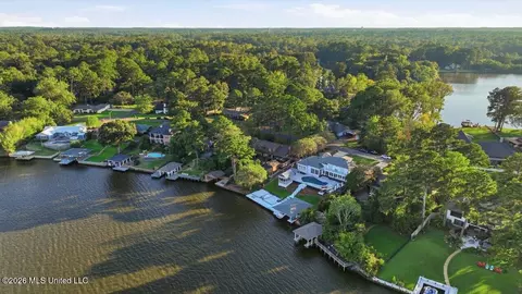 View/Area - 205 Audubon Point Dr, Brandon, MS 39047 photo 10 of 14