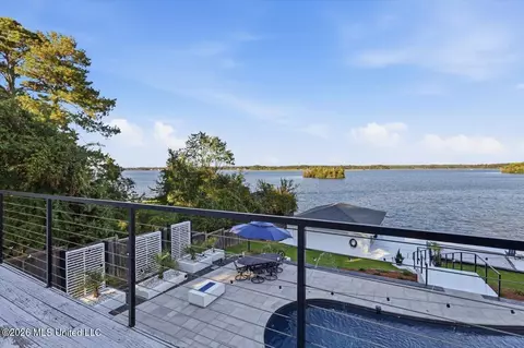 View/Area - 205 Audubon Point Dr, Brandon, MS 39047 photo 2 of 14