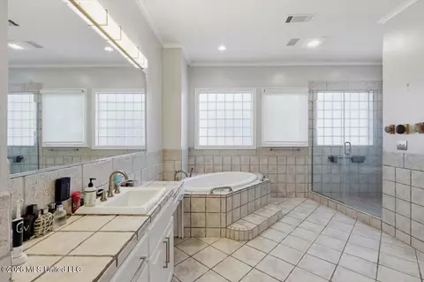 Bath - 205 Audubon Point Dr, Brandon, MS 39047 photo 1 of 9