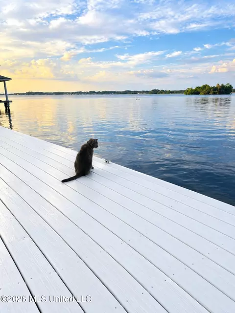 Other - 205 Audubon Point Dr, Brandon, MS 39047 photo 31 of 31