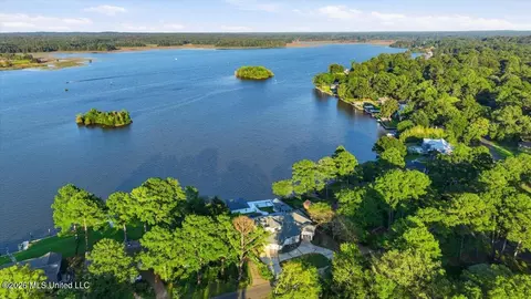 View/Area - 205 Audubon Point Dr, Brandon, MS 39047 photo 9 of 14
