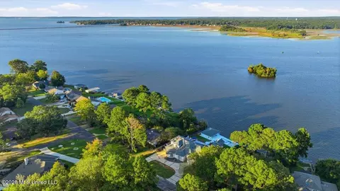 View/Area - 205 Audubon Point Dr, Brandon, MS 39047 photo 13 of 14