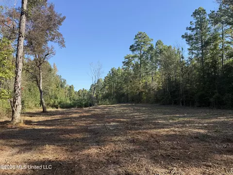 Bluff Springs Road, Ackerman, MS 39735 photo 2