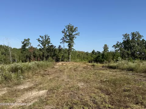 Bluff Springs Road, Ackerman, MS 39735 photo 18