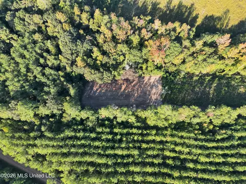 Bluff Springs Road, Ackerman, MS 39735 photo 5