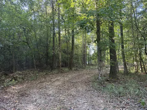 Bluff Springs Road, Ackerman, MS 39735 photo 12