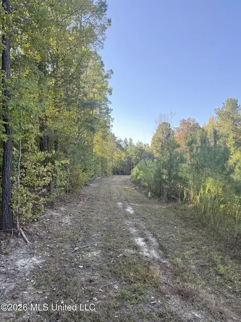 Bluff Springs Road, Ackerman, MS 39735 photo 13