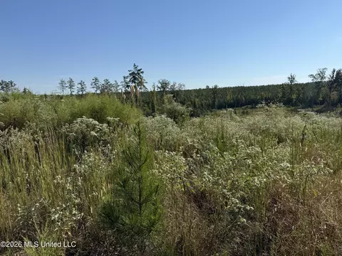 Bluff Springs Road, Ackerman, MS 39735 photo 22