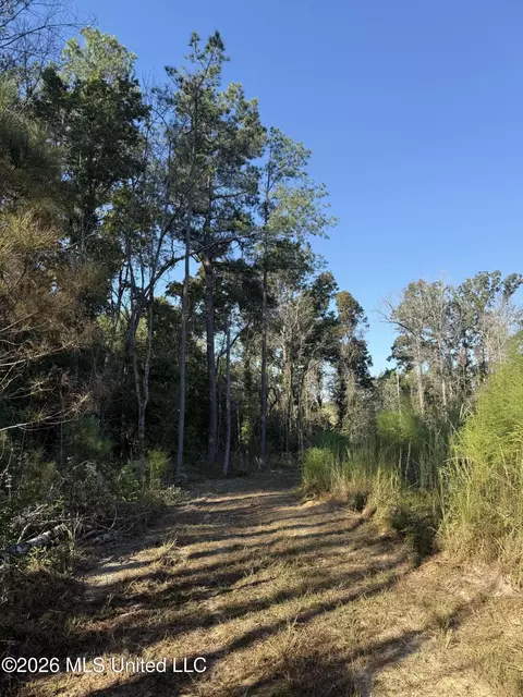 Bluff Springs Road, Ackerman, MS 39735 photo 9