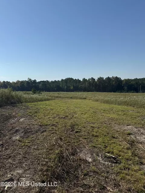 Bluff Springs Road, Ackerman, MS 39735 photo 16