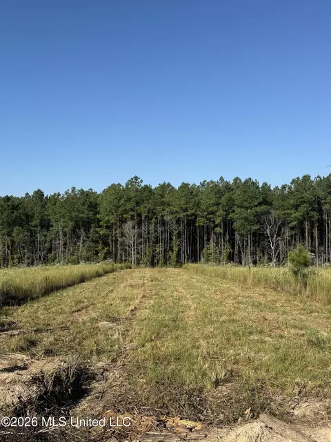 Bluff Springs Road, Ackerman, MS 39735 photo 17