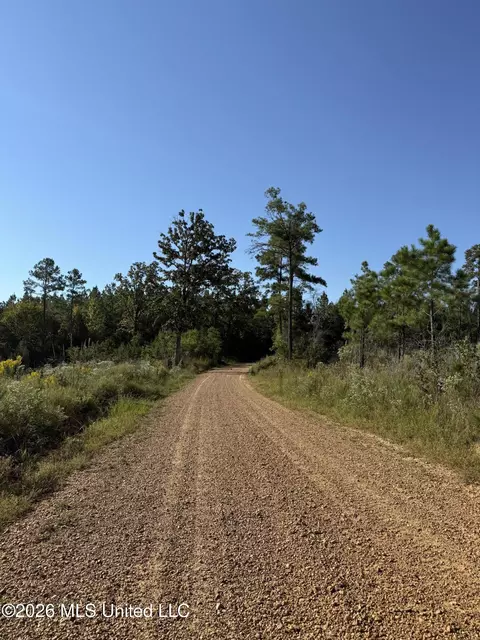 Bluff Springs Road, Ackerman, MS 39735 photo 25