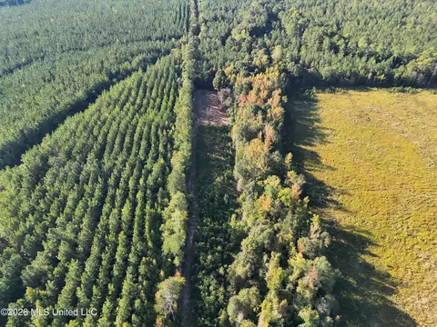 Bluff Springs Road, Ackerman, MS 39735 photo 28