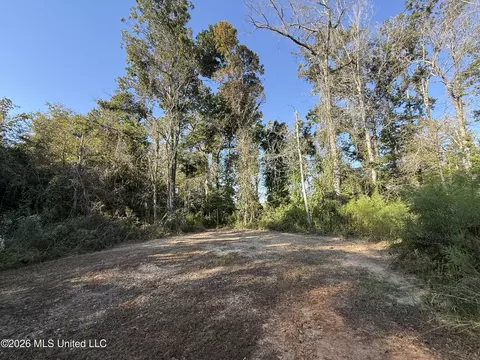 Bluff Springs Road, Ackerman, MS 39735 photo 10