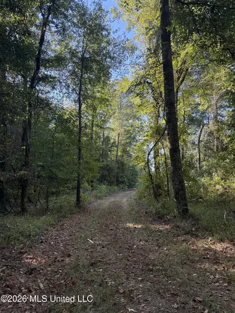 Bluff Springs Road, Ackerman, MS 39735 photo 11