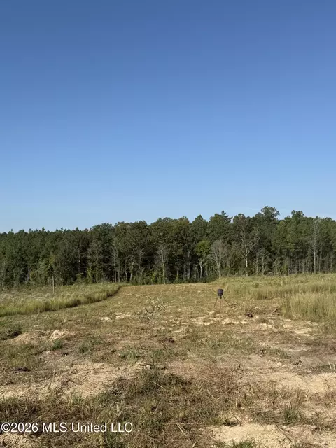 Bluff Springs Road, Ackerman, MS 39735 photo 14