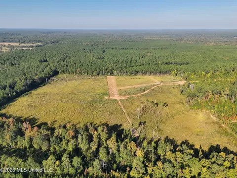 Bluff Springs Road, Ackerman, MS 39735 photo 29