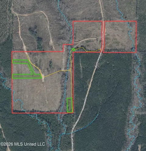 Bluff Springs Road, Ackerman, MS 39735 photo 52