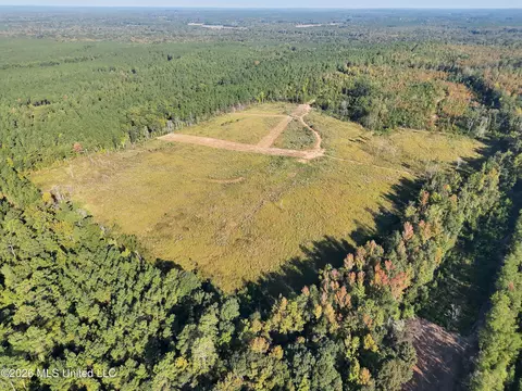 Bluff Springs Road, Ackerman, MS 39735 photo 30