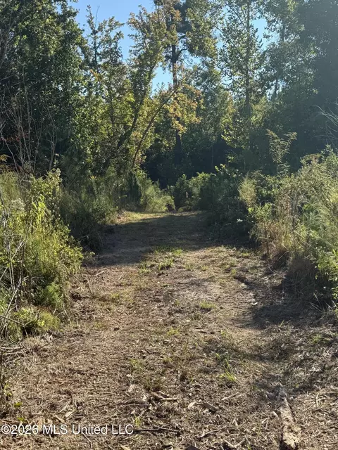 Bluff Springs Road, Ackerman, MS 39735 photo 20