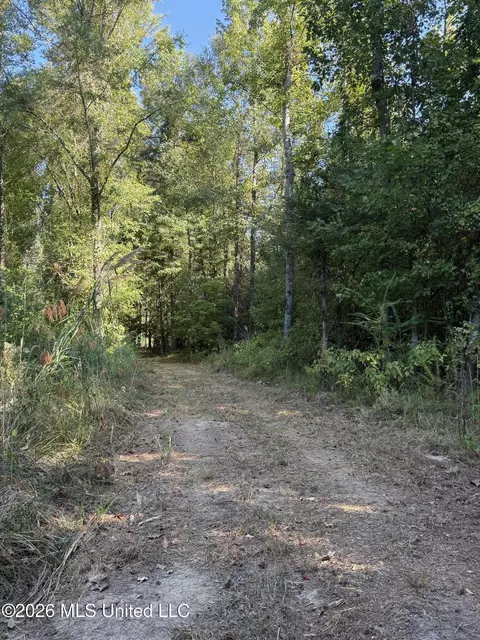 Bluff Springs Road, Ackerman, MS 39735 photo 21